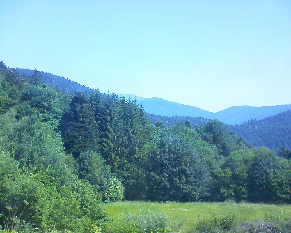 Le petit ballon vu depuis le Domaine Langmatt à Murbach le 19.06.2025 à 11:00 Le petit ballon (Alsace, Vosges) le 19.06.2025 à 11:00