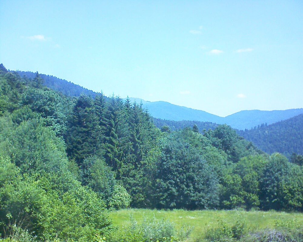 Le petit ballon vu depuis le Domaine Langmatt à Murbach le 19.06.2025 à 12:00 Le petit ballon (Alsace, Vosges) le 19.06.2025 à 12:00