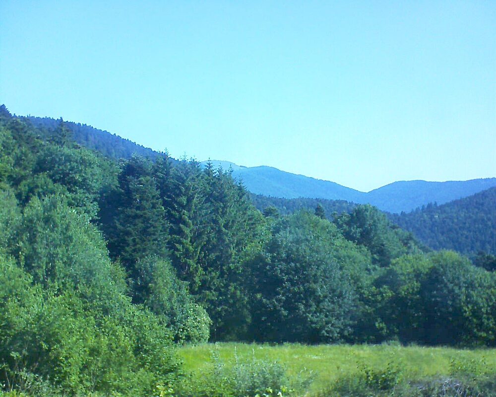 Le petit ballon vu depuis le Domaine Langmatt à Murbach le 20.06.2025 à 10:00 Le petit ballon (Alsace, Vosges) le 20.06.2025 à 10:00