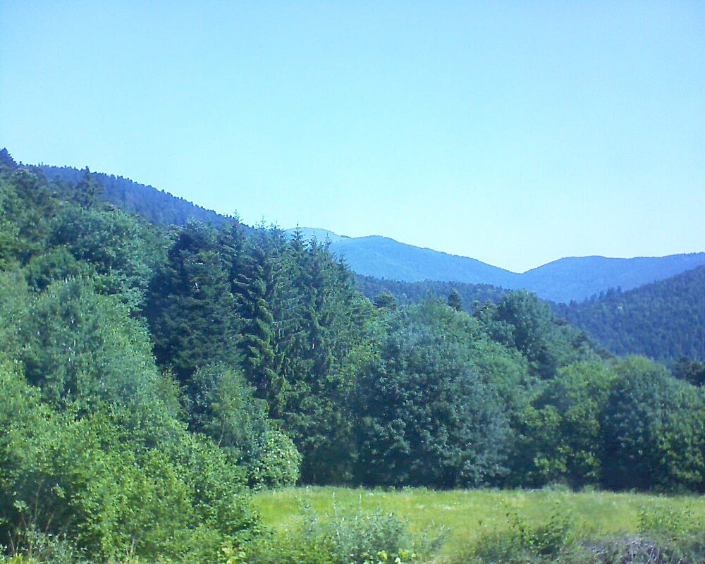 Le petit ballon vu depuis le Domaine Langmatt à Murbach le 20.06.2025 à 11:00 Le petit ballon (Alsace, Vosges) le 20.06.2025 à 11:00