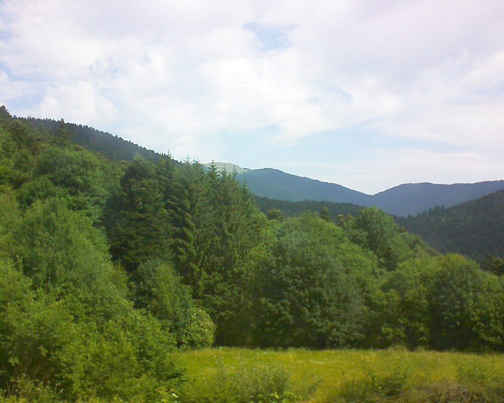 Le petit ballon vu depuis le Domaine Langmatt à Murbach le 21.06.2025 à 11:00 Le petit ballon (Alsace, Vosges) le 21.06.2025 à 11:00