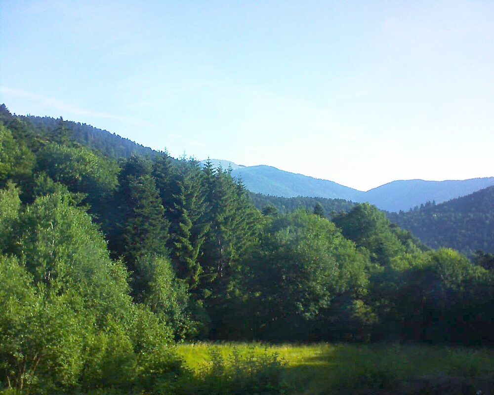 Le petit ballon vu depuis le Domaine Langmatt à Murbach le 22.06.2025 à 08:00 Le petit ballon (Alsace, Vosges) le 22.06.2025 à 08:00