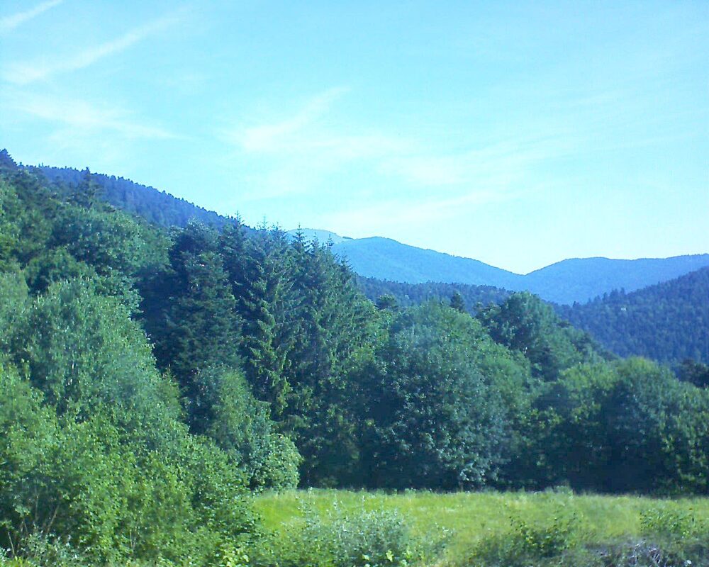 Le petit ballon vu depuis le Domaine Langmatt à Murbach le 22.06.2025 à 09:45 Le petit ballon (Alsace, Vosges) le 22.06.2025 à 09:45