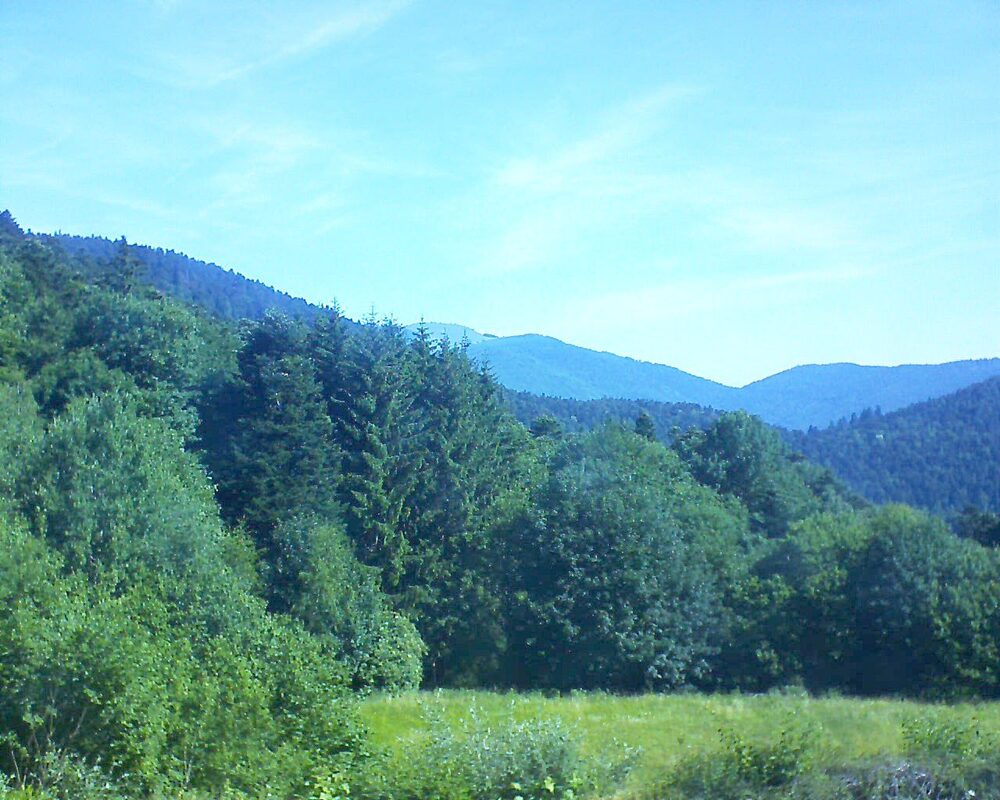 Le petit ballon vu depuis le Domaine Langmatt à Murbach le 22.06.2025 à 10:00 Le petit ballon (Alsace, Vosges) le 22.06.2025 à 10:00