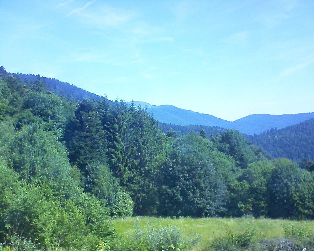 Le petit ballon vu depuis le Domaine Langmatt à Murbach le 22.06.2025 à 10:45 Le petit ballon (Alsace, Vosges) le 22.06.2025 à 10:45