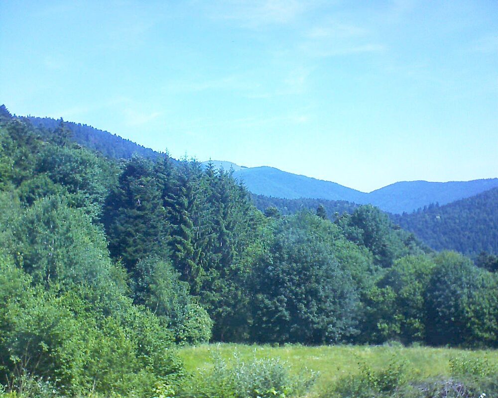 Le petit ballon vu depuis le Domaine Langmatt à Murbach le 22.06.2025 à 11:00 Le petit ballon (Alsace, Vosges) le 22.06.2025 à 11:00