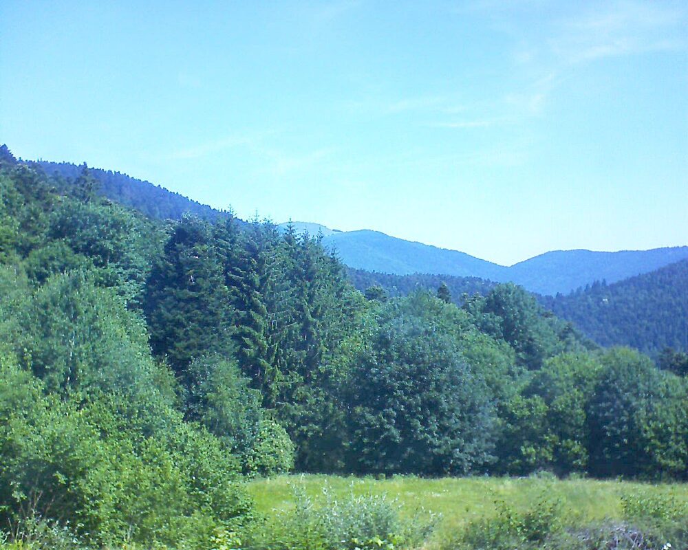 Le petit ballon vu depuis le Domaine Langmatt à Murbach le 22.06.2025 à 11:15 Le petit ballon (Alsace, Vosges) le 22.06.2025 à 11:15