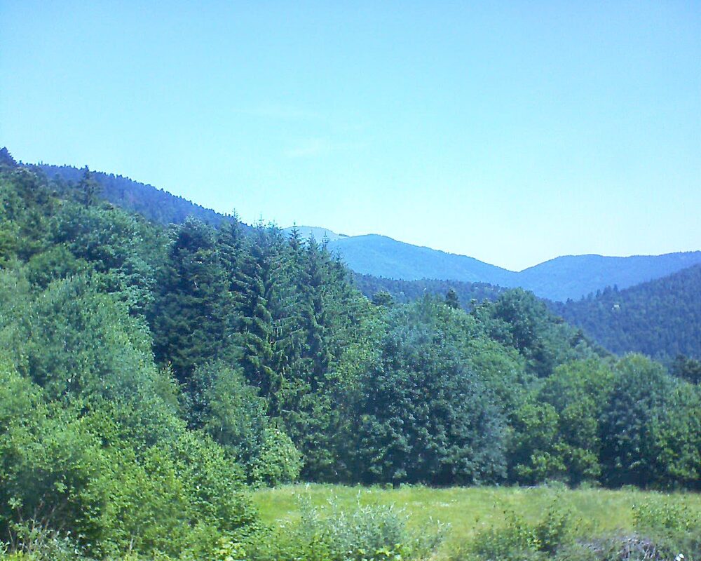 Le petit ballon vu depuis le Domaine Langmatt à Murbach le 22.06.2025 à 12:00 Le petit ballon (Alsace, Vosges) le 22.06.2025 à 12:00
