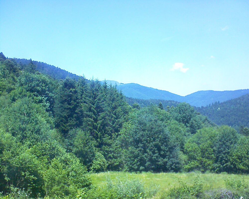 Le petit ballon vu depuis le Domaine Langmatt à Murbach le 22.06.2025 à 14:00 Le petit ballon (Alsace, Vosges) le 22.06.2025 à 14:00