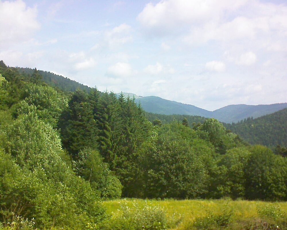 Le petit ballon vu depuis le Domaine Langmatt à Murbach le 23.06.2025 à 11:00 Le petit ballon (Alsace, Vosges) le 23.06.2025 à 11:00