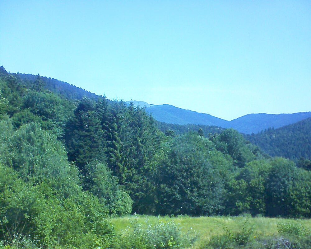 Le petit ballon vu depuis le Domaine Langmatt à Murbach le 25.06.2025 à 11:00 Le petit ballon (Alsace, Vosges) le 25.06.2025 à 11:00