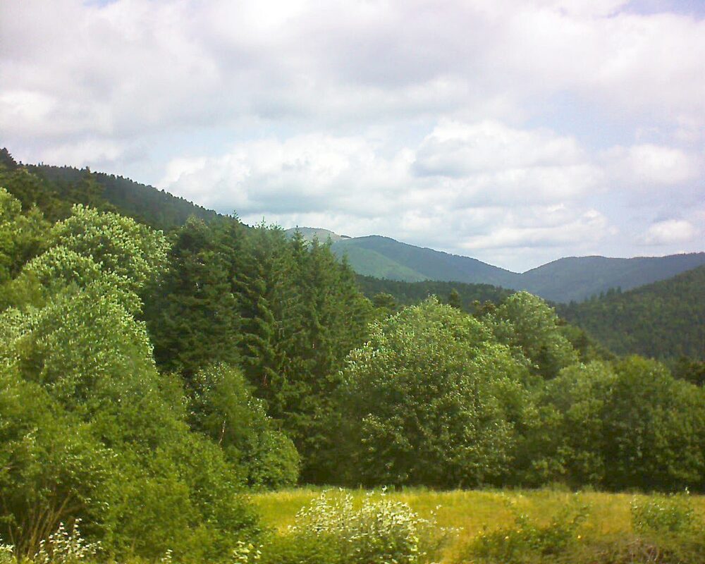Le petit ballon vu depuis le Domaine Langmatt à Murbach le 26.06.2025 à 11:00 Le petit ballon (Alsace, Vosges) le 26.06.2025 à 11:00