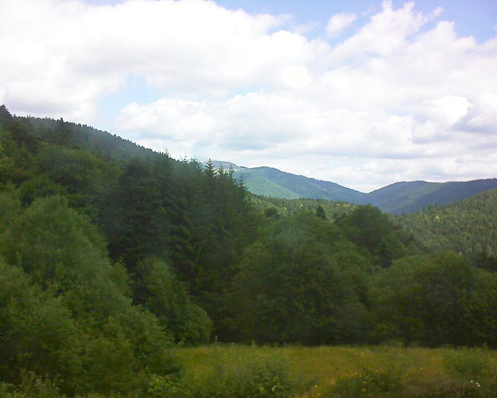 Le petit ballon vu depuis le Domaine Langmatt à Murbach le 28.06.2025 à 11:00 Le petit ballon (Alsace, Vosges) le 28.06.2025 à 11:00