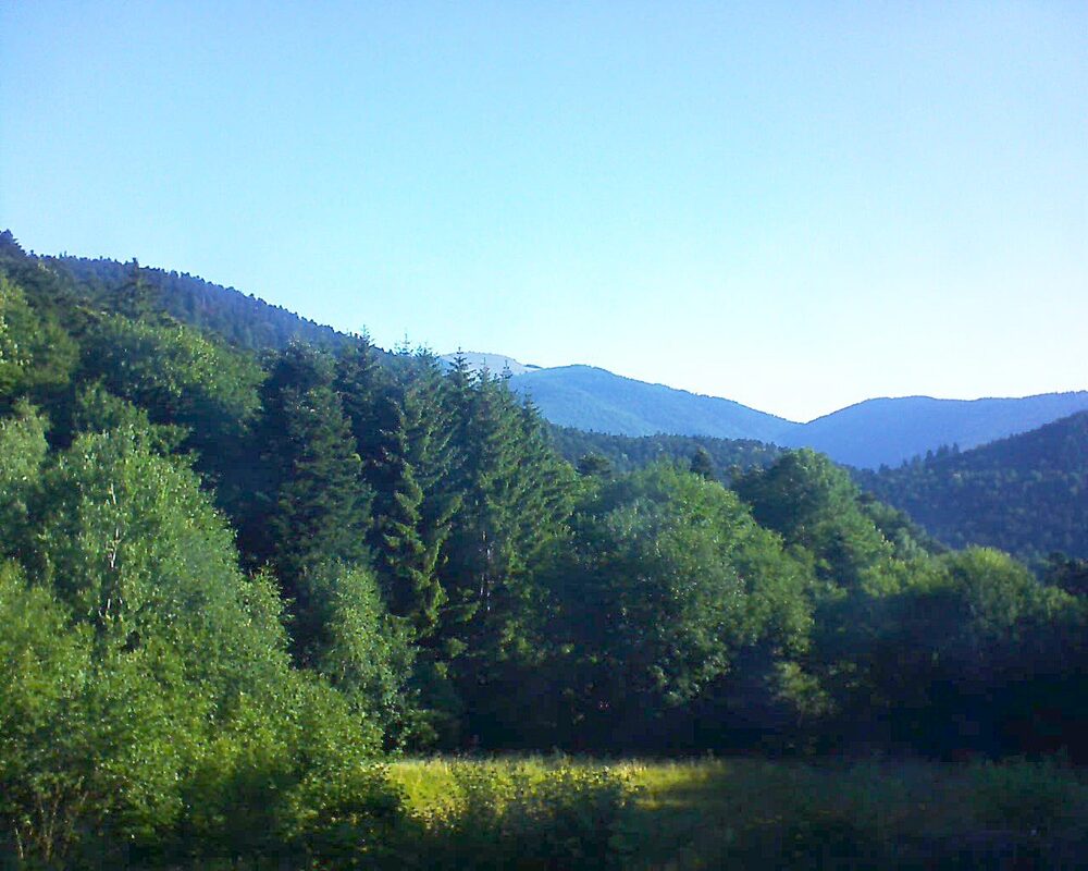 Le petit ballon vu depuis le Domaine Langmatt à Murbach le 29.06.2025 à 08:00 Le petit ballon (Alsace, Vosges) le 29.06.2025 à 08:00