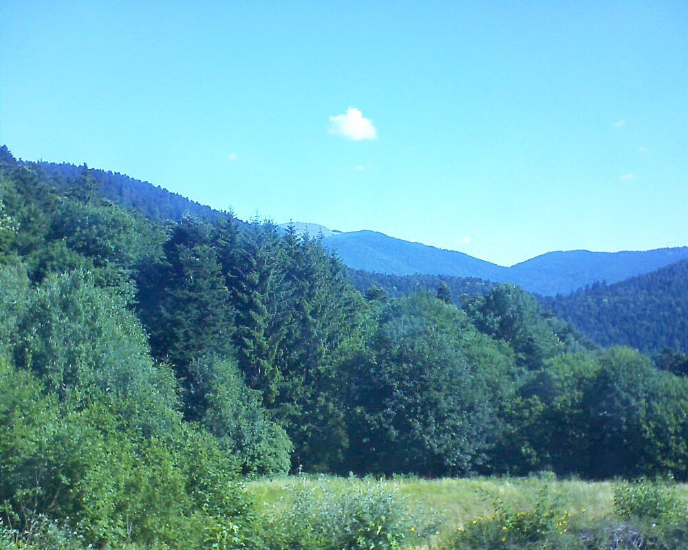 Le petit ballon vu depuis le Domaine Langmatt à Murbach le 29.06.2025 à 10:00 Le petit ballon (Alsace, Vosges) le 29.06.2025 à 10:00
