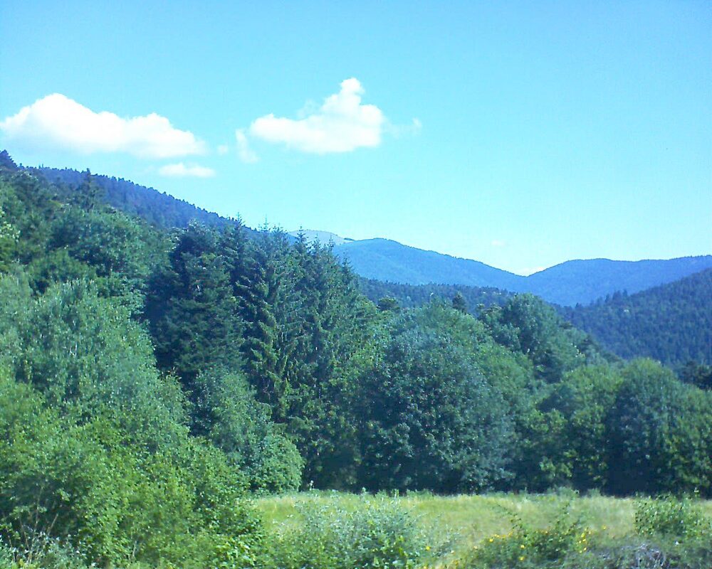 Le petit ballon vu depuis le Domaine Langmatt à Murbach le 29.06.2025 à 10:45 Le petit ballon (Alsace, Vosges) le 29.06.2025 à 10:45