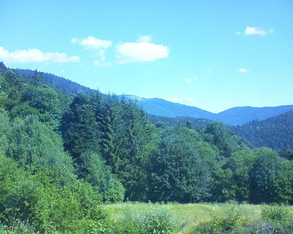 Le petit ballon vu depuis le Domaine Langmatt à Murbach le 29.06.2025 à 11:00 Le petit ballon (Alsace, Vosges) le 29.06.2025 à 11:00