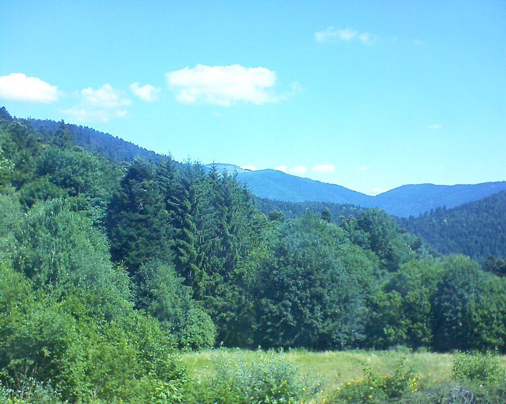 Le petit ballon vu depuis le Domaine Langmatt à Murbach le 29.06.2025 à 11:15 Le petit ballon (Alsace, Vosges) le 29.06.2025 à 11:15