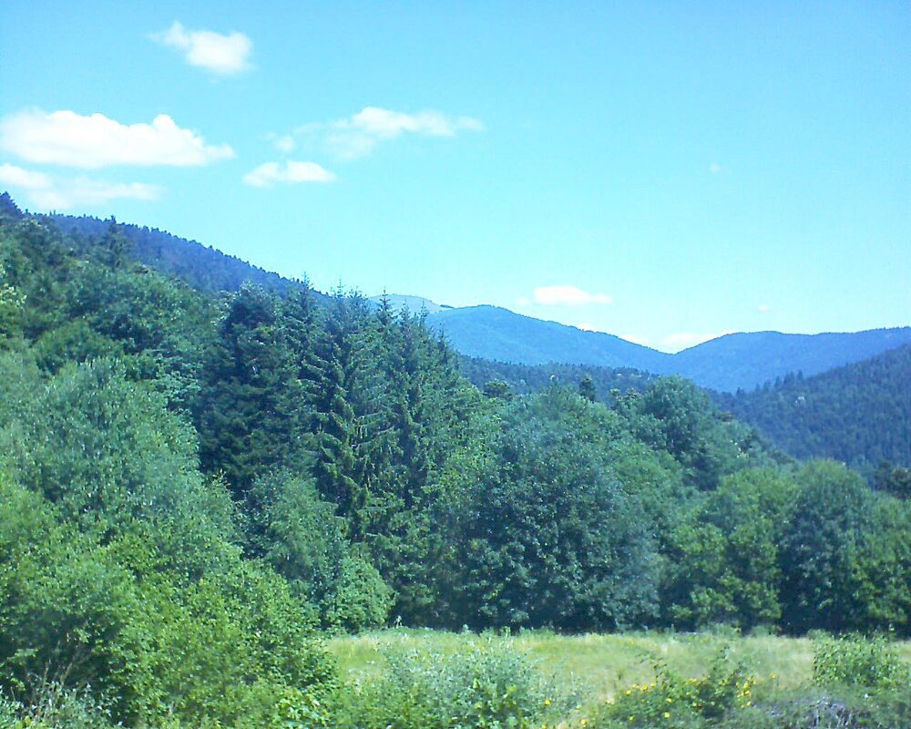 Le petit ballon vu depuis le Domaine Langmatt à Murbach le 29.06.2025 à 12:00 Le petit ballon (Alsace, Vosges) le 29.06.2025 à 12:00