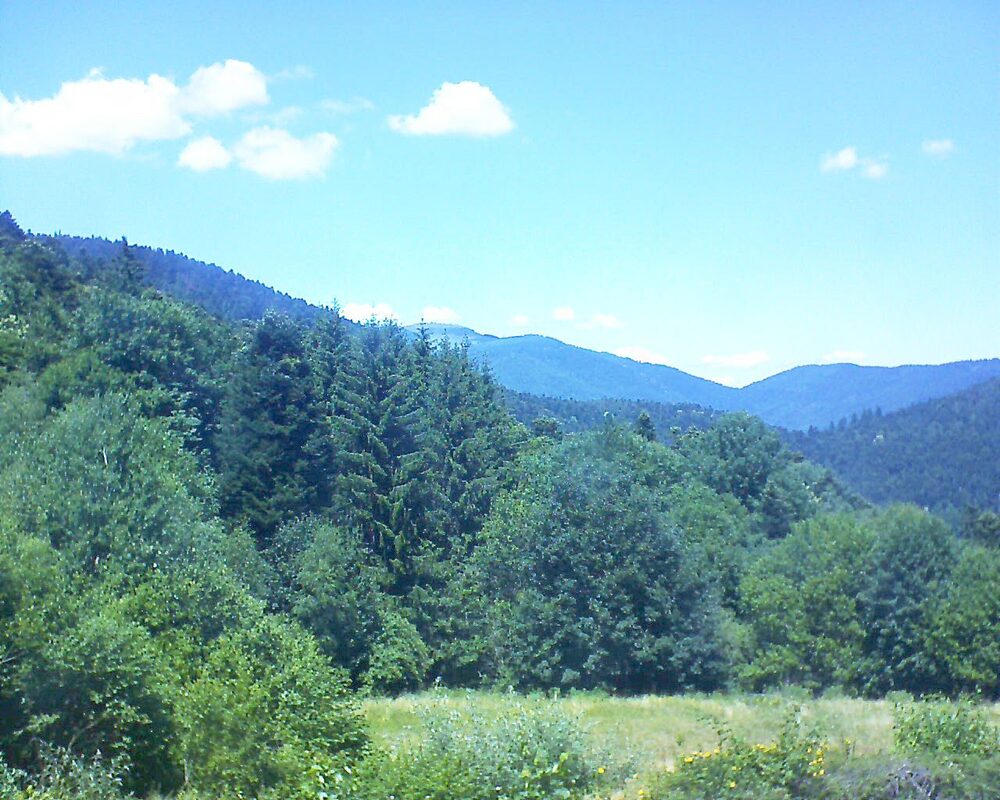 Le petit ballon vu depuis le Domaine Langmatt à Murbach le 29.06.2025 à 14:00 Le petit ballon (Alsace, Vosges) le 29.06.2025 à 14:00