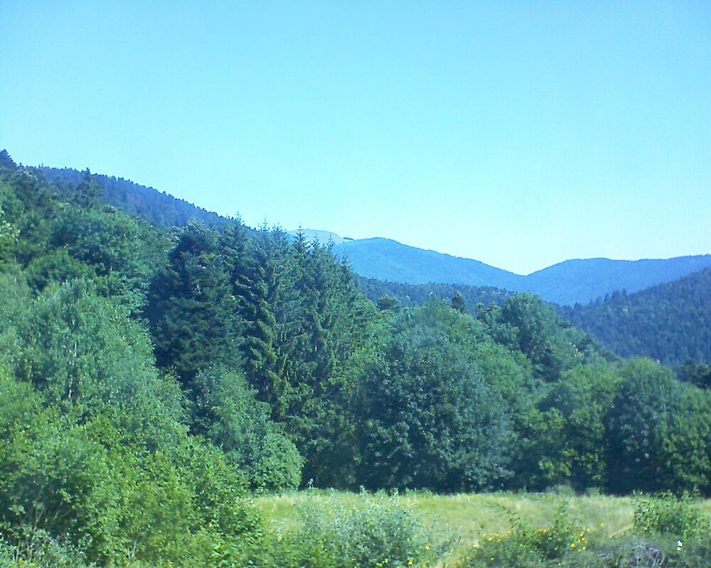Le petit ballon vu depuis le Domaine Langmatt à Murbach le 30.06.2025 à 11:00 Le petit ballon (Alsace, Vosges) le 30.06.2025 à 11:00
