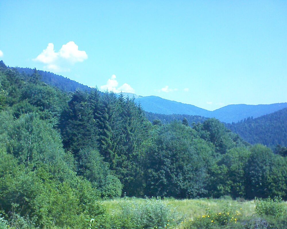 Le petit ballon vu depuis le Domaine Langmatt à Murbach le 02.07.2025 à 11:00 Le petit ballon (Alsace, Vosges) le 02.07.2025 à 11:00