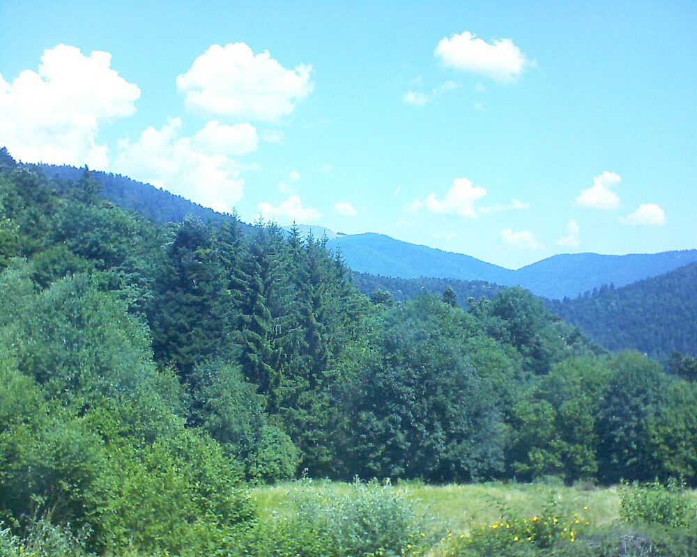 Le petit ballon vu depuis le Domaine Langmatt à Murbach le 02.07.2025 à 12:00 Le petit ballon (Alsace, Vosges) le 02.07.2025 à 12:00