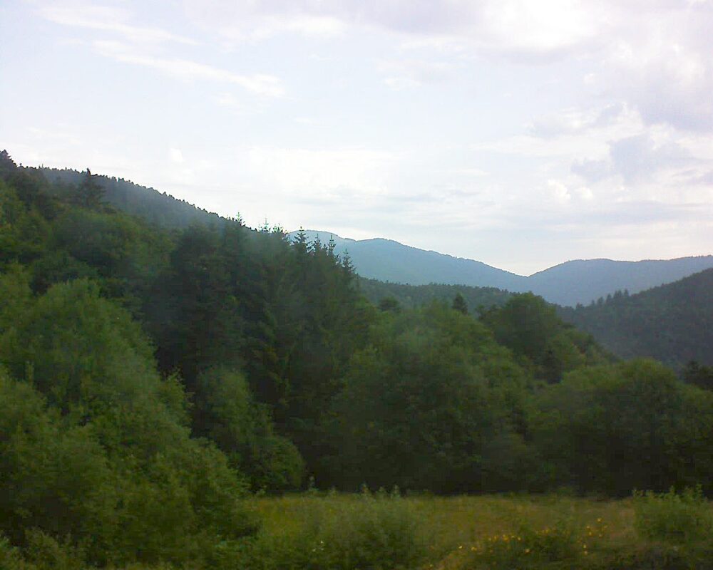 Le petit ballon vu depuis le Domaine Langmatt à Murbach le 03.07.2025 à 08:00 Le petit ballon (Alsace, Vosges) le 03.07.2025 à 08:00