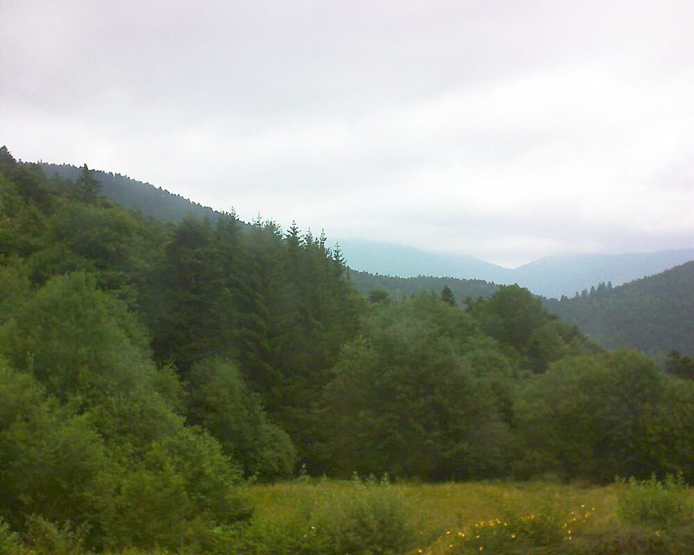 Le petit ballon vu depuis le Domaine Langmatt à Murbach le 03.07.2025 à 10:45 Le petit ballon (Alsace, Vosges) le 03.07.2025 à 10:45