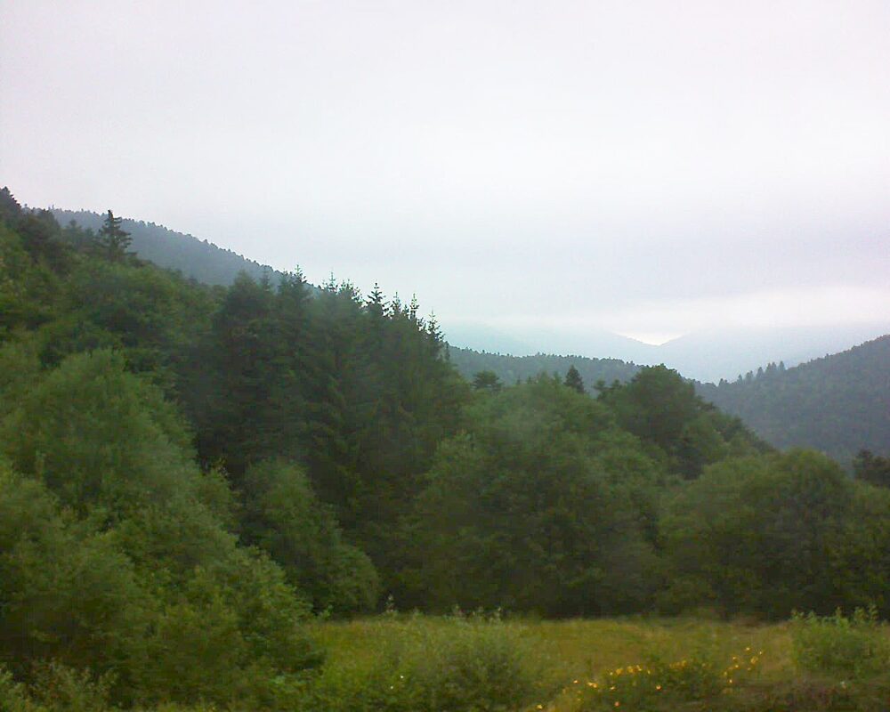 Le petit ballon vu depuis le Domaine Langmatt à Murbach le 03.07.2025 à 12:00 Le petit ballon (Alsace, Vosges) le 03.07.2025 à 12:00