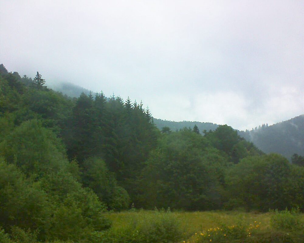 Le petit ballon vu depuis le Domaine Langmatt à Murbach le 03.07.2025 à 14:00 Le petit ballon (Alsace, Vosges) le 03.07.2025 à 14:00