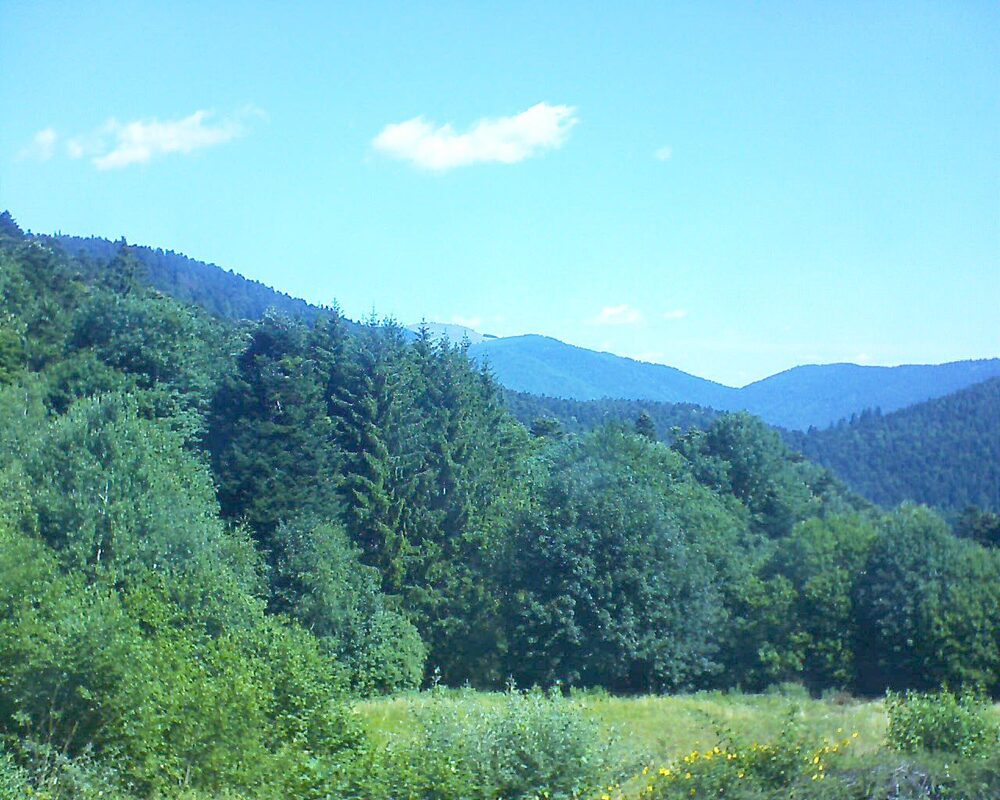 Le petit ballon vu depuis le Domaine Langmatt à Murbach le 04.07.2025 à 11:00 Le petit ballon (Alsace, Vosges) le 04.07.2025 à 11:00