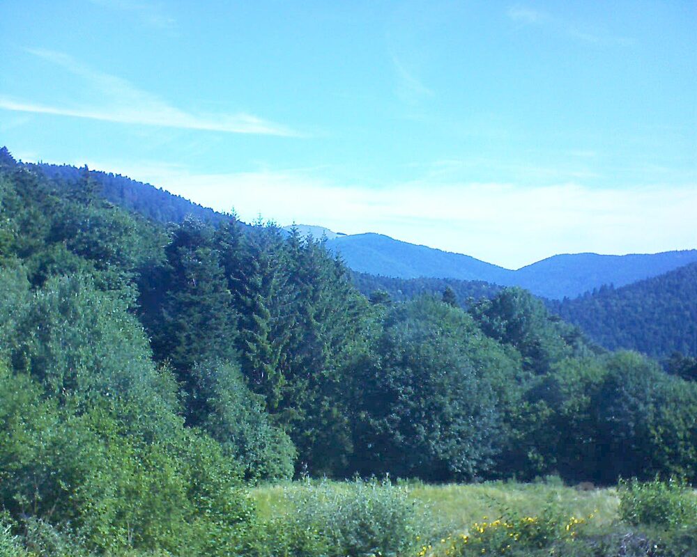 Le petit ballon vu depuis le Domaine Langmatt à Murbach le 05.07.2025 à 10:00 Le petit ballon (Alsace, Vosges) le 05.07.2025 à 10:00