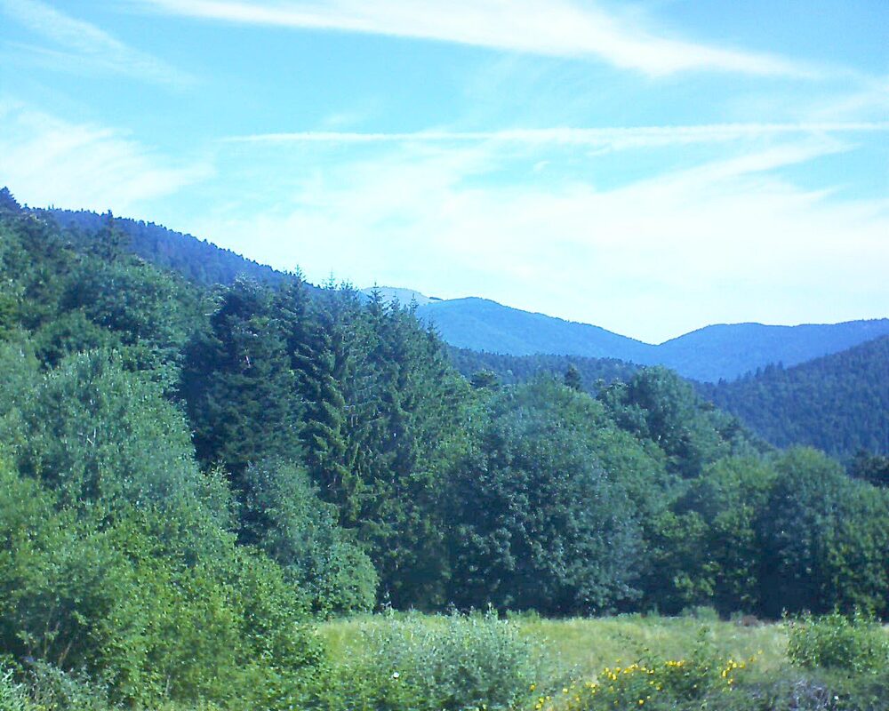 Le petit ballon vu depuis le Domaine Langmatt à Murbach le 05.07.2025 à 10:45 Le petit ballon (Alsace, Vosges) le 05.07.2025 à 10:45