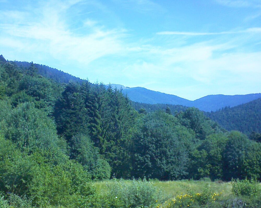 Le petit ballon vu depuis le Domaine Langmatt à Murbach le 05.07.2025 à 11:00 Le petit ballon (Alsace, Vosges) le 05.07.2025 à 11:00