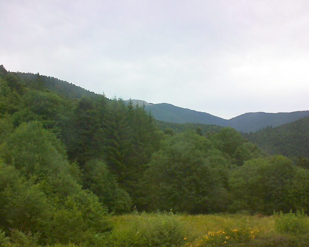 Le petit ballon vu depuis le Domaine Langmatt à Murbach le 06.07.2025 à 09:45 Le petit ballon (Alsace, Vosges) le 06.07.2025 à 09:45