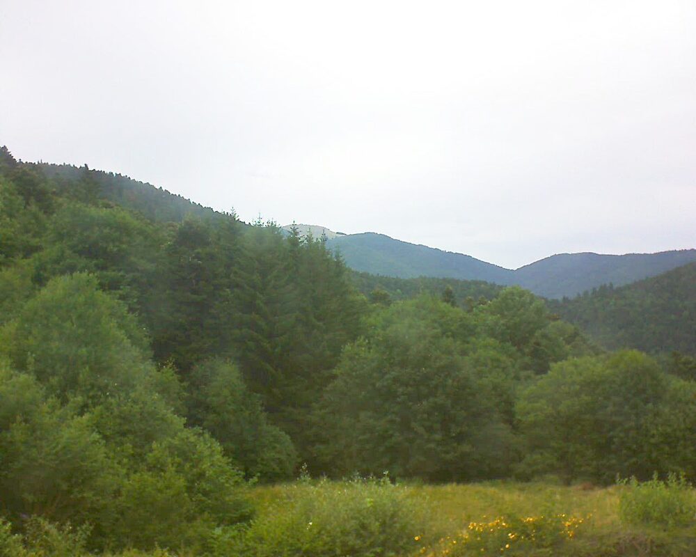 Le petit ballon vu depuis le Domaine Langmatt à Murbach le 06.07.2025 à 10:00 Le petit ballon (Alsace, Vosges) le 06.07.2025 à 10:00