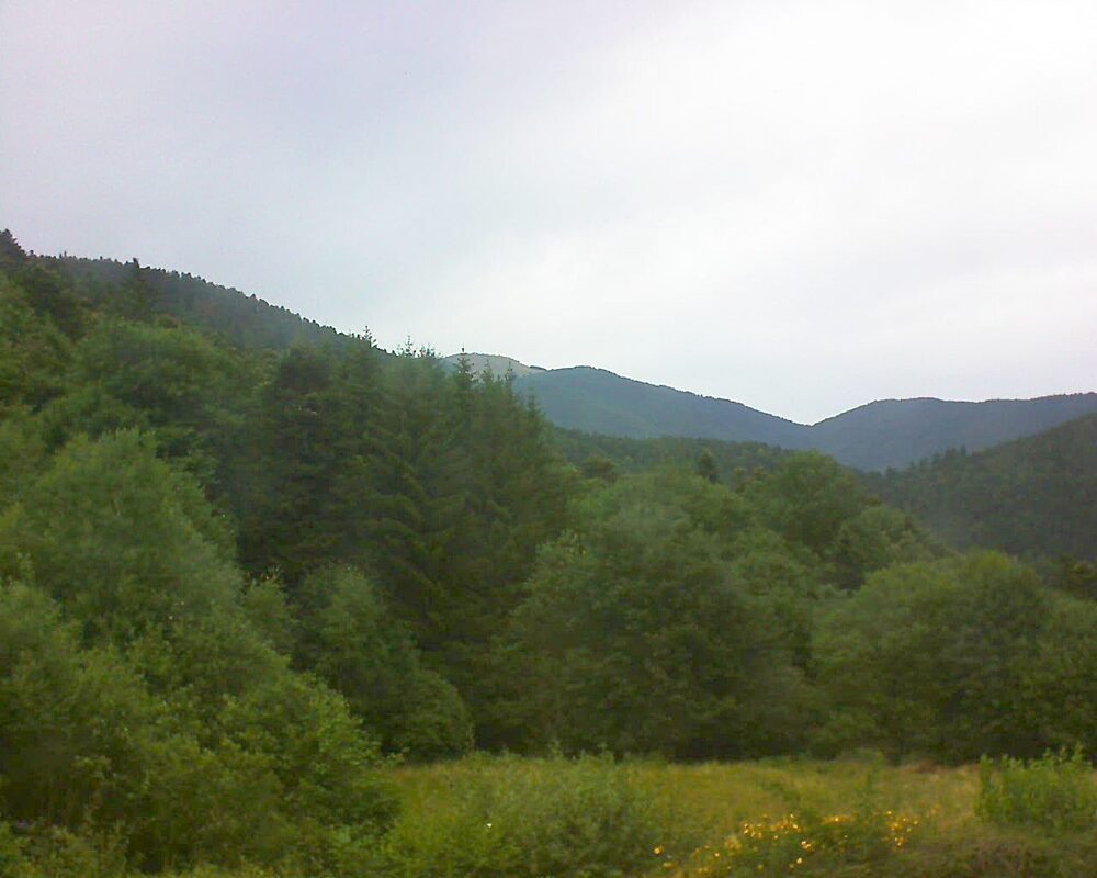 Le petit ballon vu depuis le Domaine Langmatt à Murbach le 06.07.2025 à 10:15 Le petit ballon (Alsace, Vosges) le 06.07.2025 à 10:15