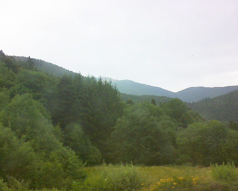 Le petit ballon vu depuis le Domaine Langmatt à Murbach le 06.07.2025 à 10:30 Le petit ballon (Alsace, Vosges) le 06.07.2025 à 10:30