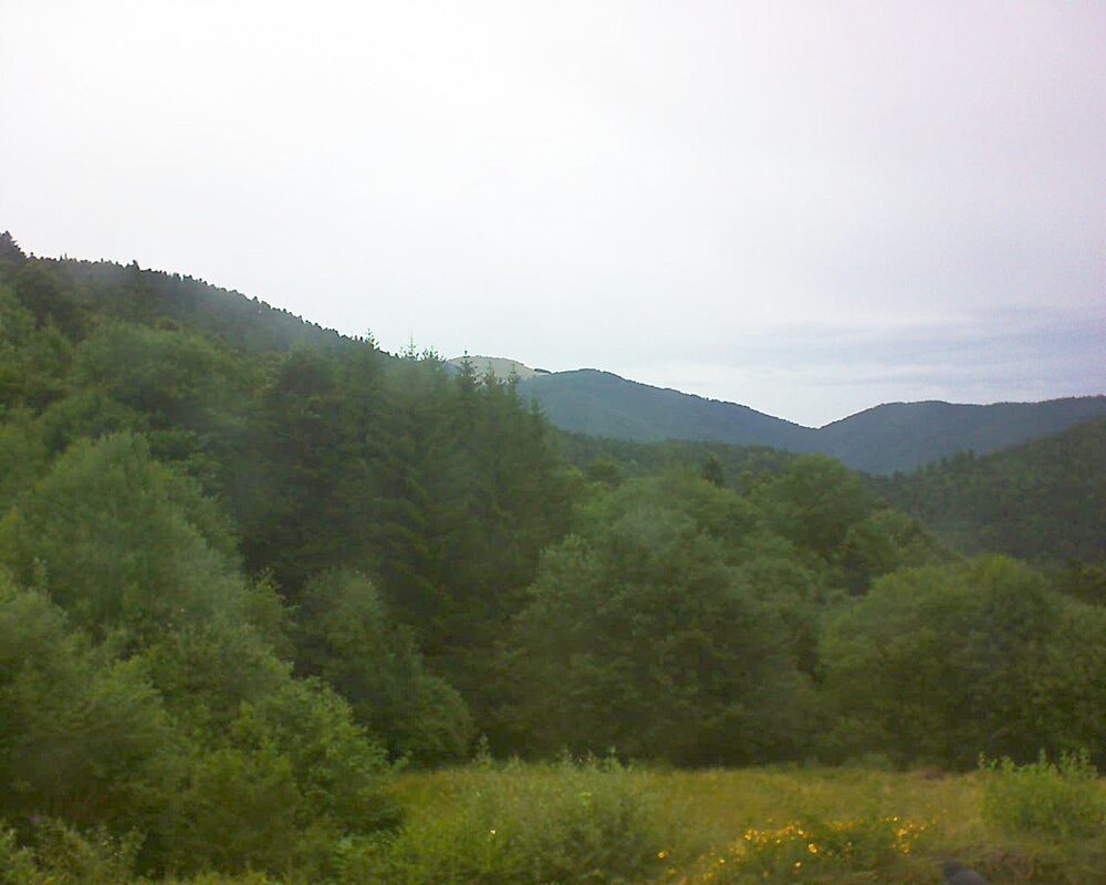 Le petit ballon vu depuis le Domaine Langmatt à Murbach le 06.07.2025 à 11:45 Le petit ballon (Alsace, Vosges) le 06.07.2025 à 11:45