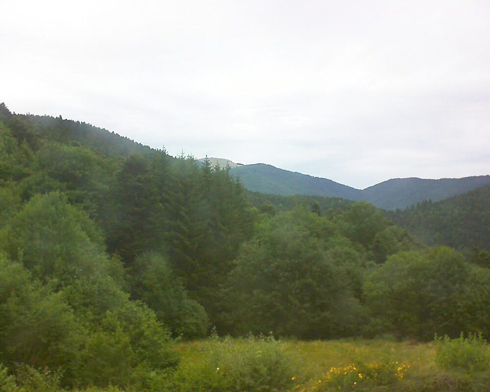 Le petit ballon vu depuis le Domaine Langmatt à Murbach le 06.07.2025 à 13:00 Le petit ballon (Alsace, Vosges) le 06.07.2025 à 13:00