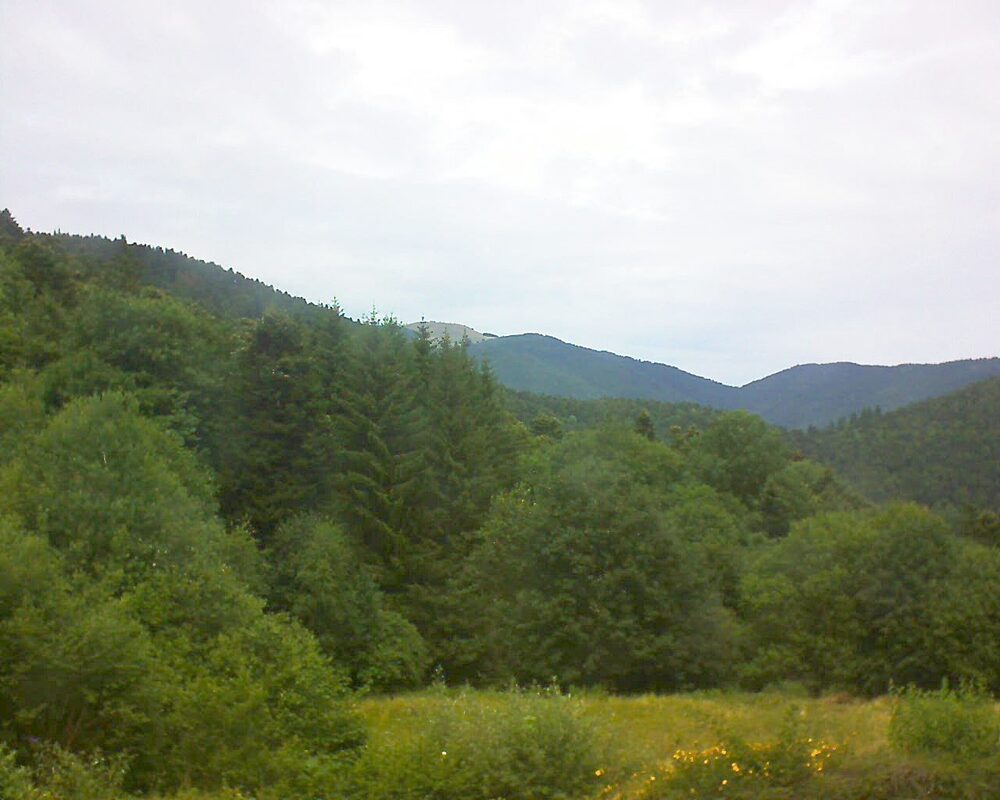 Le petit ballon vu depuis le Domaine Langmatt à Murbach le 06.07.2025 à 13:45 Le petit ballon (Alsace, Vosges) le 06.07.2025 à 13:45