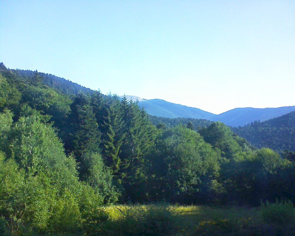 Le petit ballon vu depuis le Domaine Langmatt à Murbach le 13.07.2025 à 08:15 Le petit ballon (Alsace, Vosges) le 13.07.2025 à 08:15
