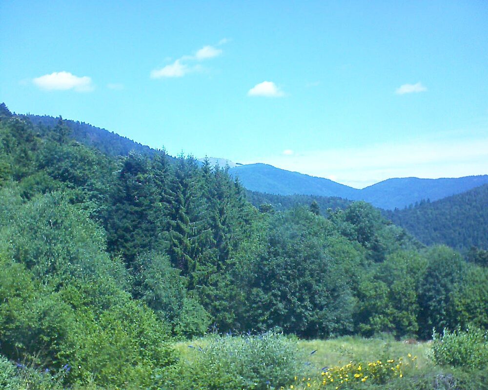 Le petit ballon vu depuis le Domaine Langmatt à Murbach le 18.07.2025 à 12:15 Le petit ballon (Alsace, Vosges) le 18.07.2025 à 12:15