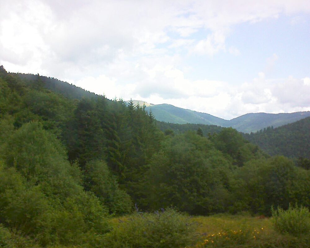 Le petit ballon vu depuis le Domaine Langmatt à Murbach le 25.07.2025 à 12:15 Le petit ballon (Alsace, Vosges) le 25.07.2025 à 12:15
