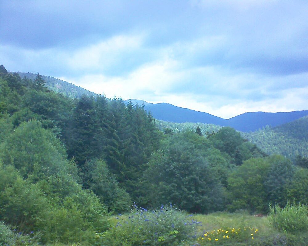 Le petit ballon vu depuis le Domaine Langmatt à Murbach le 29.07.2025 à 12:15 Le petit ballon (Alsace, Vosges) le 29.07.2025 à 12:15