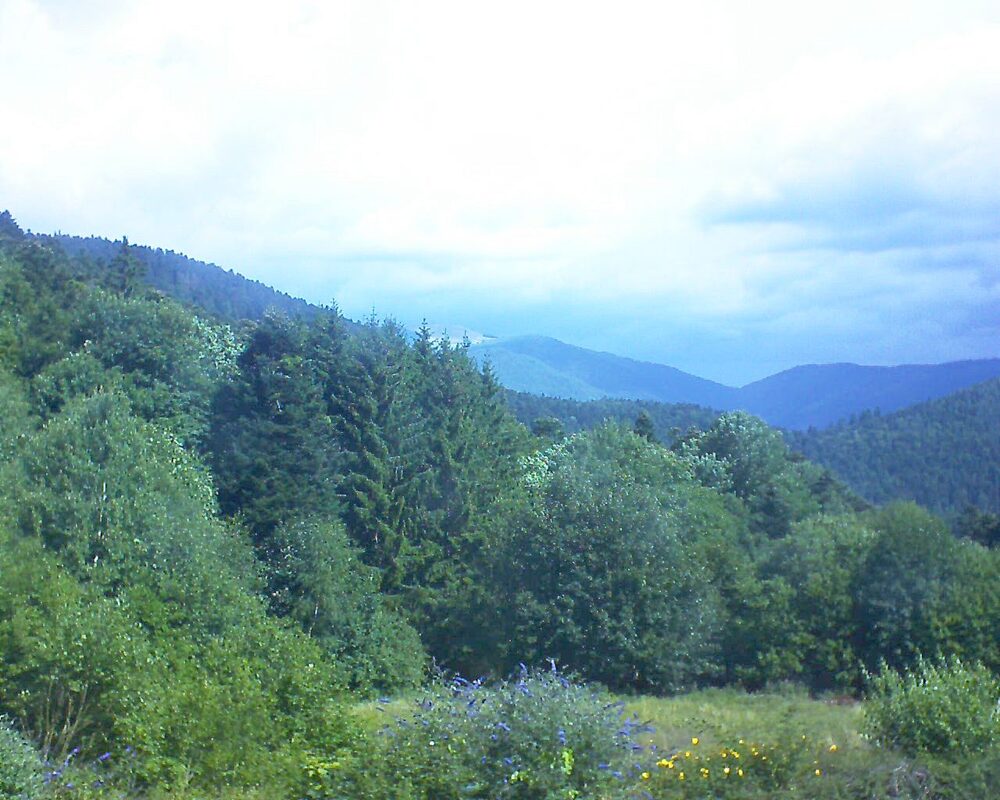 Le petit ballon vu depuis le Domaine Langmatt à Murbach le 01.08.2025 à 11:15 Le petit ballon (Alsace, Vosges) le 01.08.2025 à 11:15