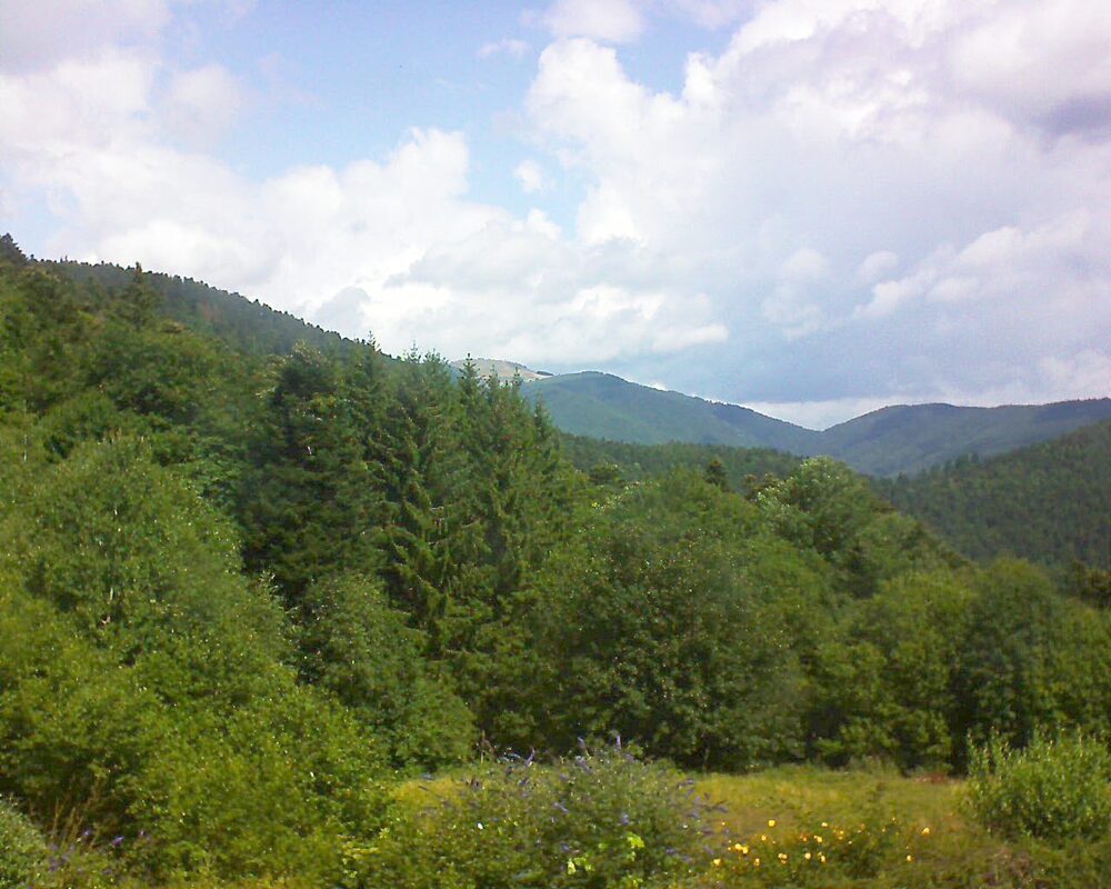 Le petit ballon vu depuis le Domaine Langmatt à Murbach le 01.08.2025 à 12:00 Le petit ballon (Alsace, Vosges) le 01.08.2025 à 12:00