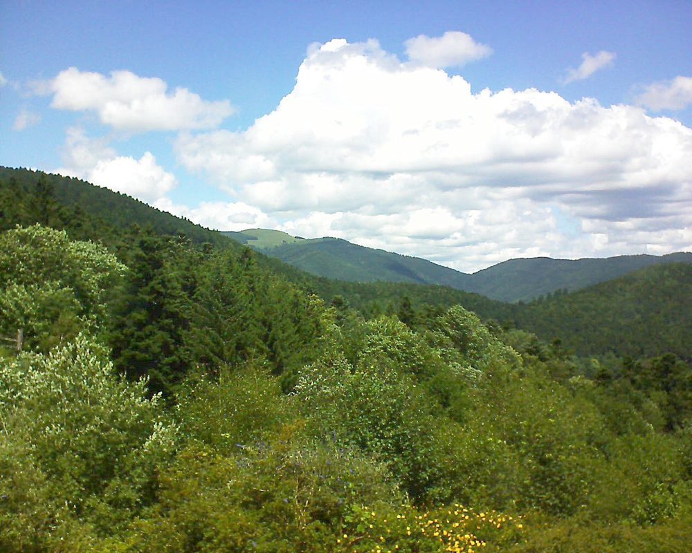 Le petit ballon vu depuis le Domaine Langmatt à Murbach le 30.06.2017 à 13:15 Le petit ballon (Alsace, Vosges) le 30.06.2017 à 13:15