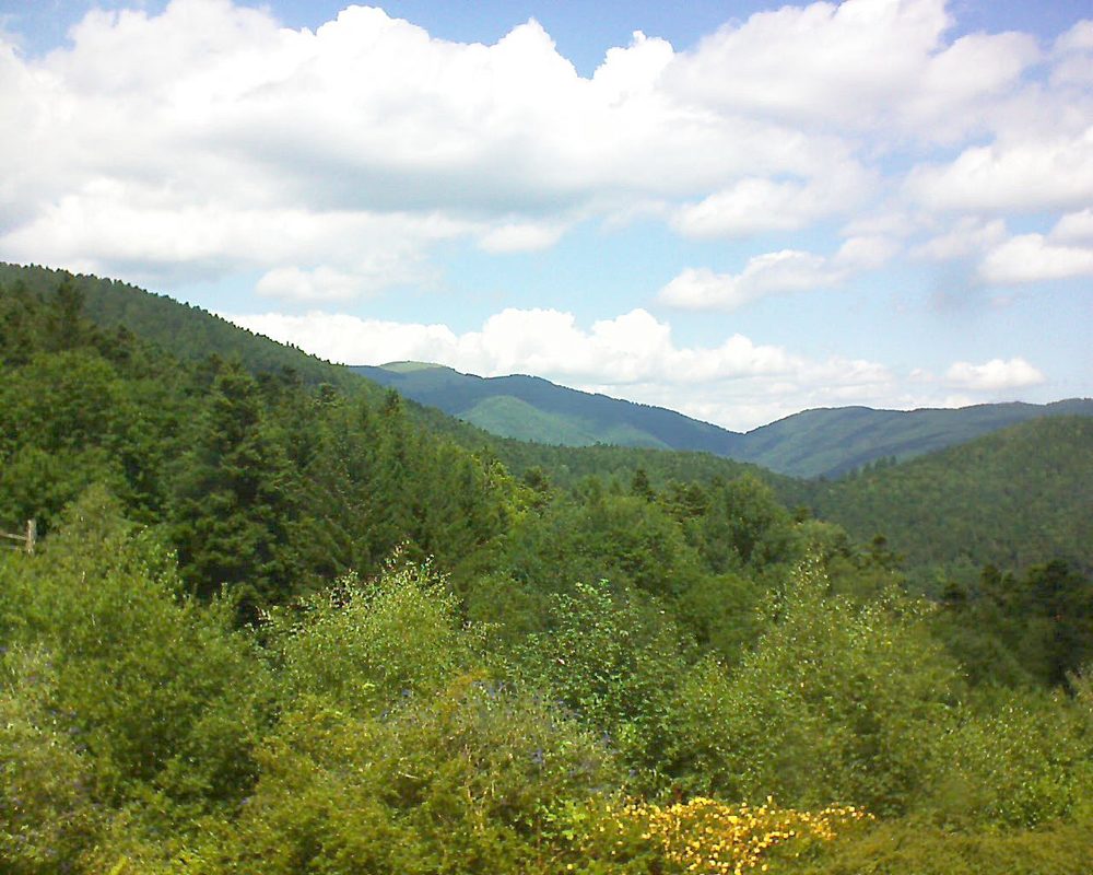 Le petit ballon vu depuis le Domaine Langmatt à Murbach le 17.07.2017 à 13:15 Le petit ballon (Alsace, Vosges) le 17.07.2017 à 13:15